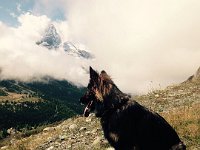 Shani